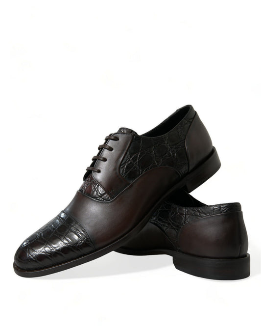 Dolce & Gabbana Brown Exotic Leather Formal Men Dress Shoes