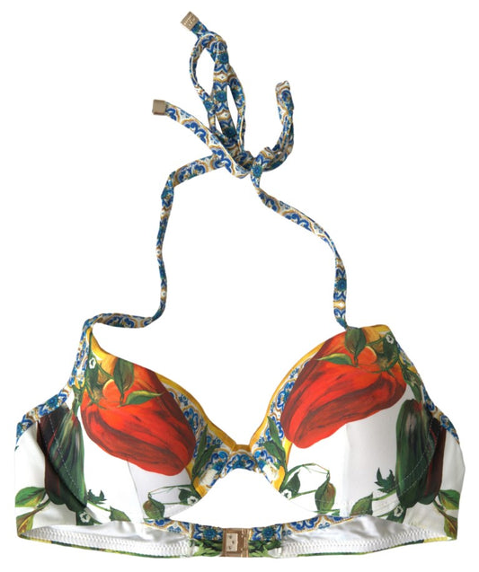 Dolce & Gabbana Multicolor Floral Swimwear 2 Piece Bikini