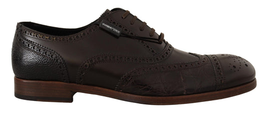 Dolce & Gabbana Elegant Brown Leather Derby Brogue Formal Shoes