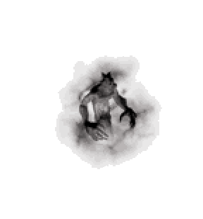 墮落的闇精靈王