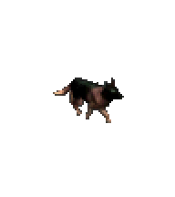 牧羊犬
