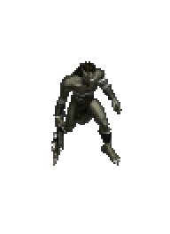 多羅