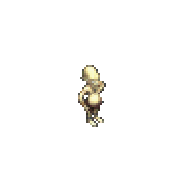 安普
