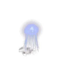 水母