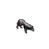 狼