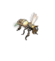 殺人蜂